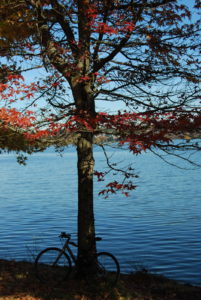 Green Lake Park, Seattle, WA (November 2019) | Jenny SW Lee