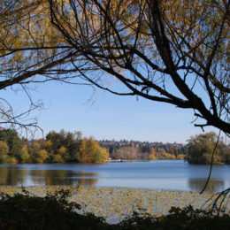 Green Lake Park, Seattle, WA (November 2019) | Jenny SW Lee