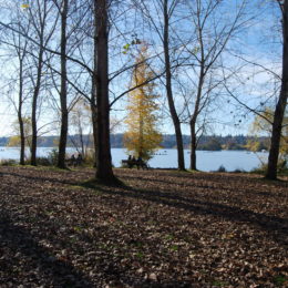 Green Lake Park, Seattle, WA (November 2019) | Jenny SW Lee