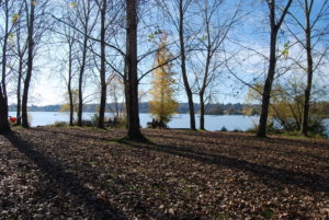 Green Lake Park, Seattle, WA (November 2019) | Jenny SW Lee