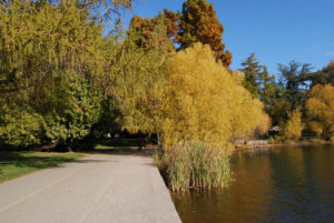 Green Lake Park, Seattle, WA (November 2019) | Jenny SW Lee