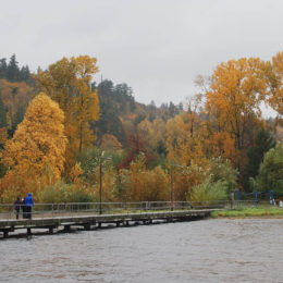 Juanita Park