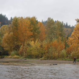 Juanita Park