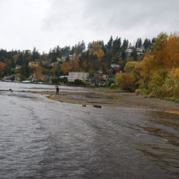 Juanita Park