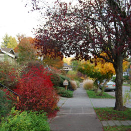 Montlake