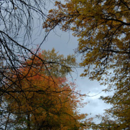 Washington Park Arboretum | Photography by Jenny S.W. Lee