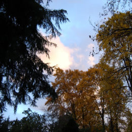 Washington Park Arboretum | Photography by Jenny S.W. Lee