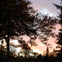 Washington Park Arboretum | Photography by Jenny S.W. Lee
