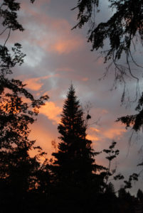 Washington Park Arboretum | Photography by Jenny S.W. Lee
