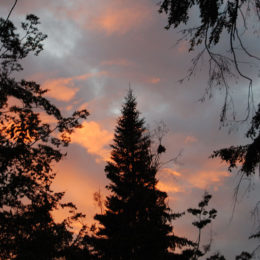 Washington Park Arboretum | Photography by Jenny S.W. Lee