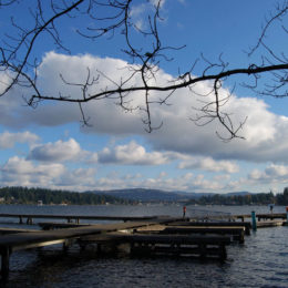 Mercer Island, Washington | Photography by Jenny S.W. Lee
