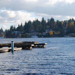 Mercer Island, Washington | Photography by Jenny S.W. Lee