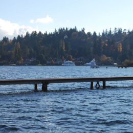 Mercer Island, Washington | Photography by Jenny S.W. Lee