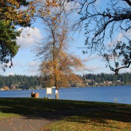 Mercer Island, Washington | Photography by Jenny S.W. Lee