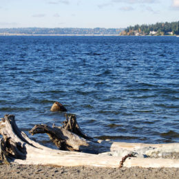 Mercer Island, Washington | Photography by Jenny S.W. Lee