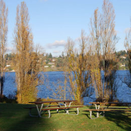 Mercer Island, Washington | Photography by Jenny S.W. Lee