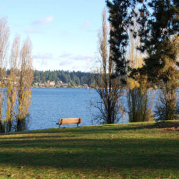 Mercer Island, Washington | Photography by Jenny S.W. Lee