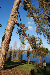 Mercer Island, Washington | Photography by Jenny S.W. Lee