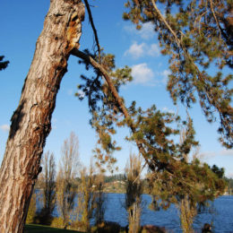 Mercer Island, Washington | Photography by Jenny S.W. Lee