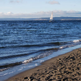 Golden Gardens Park | Photography by Jenny S.W. Lee
