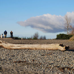 Golden Gardens Park | Photography by Jenny S.W. Lee