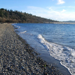 Golden Gardens Park | Photography by Jenny S.W. Lee