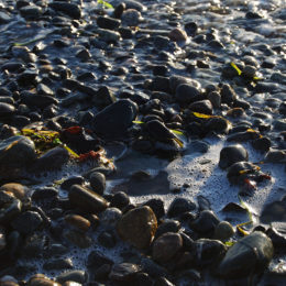 Golden Gardens Park | Photography by Jenny S.W. Lee