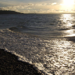 Golden Gardens Park | Photography by Jenny S.W. Lee