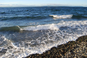 Golden Gardens Park | Photography by Jenny S.W. Lee