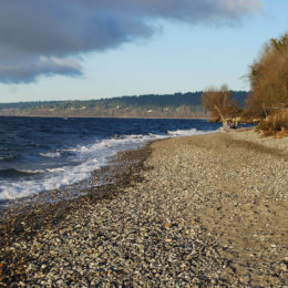 Golden Gardens Park | Photography by Jenny S.W. Lee
