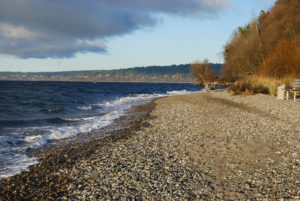 Golden Gardens Park | Photography by Jenny S.W. Lee