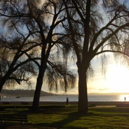 Golden Gardens Park | Photography by Jenny S.W. Lee