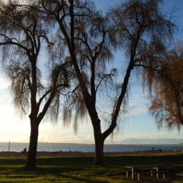 Golden Gardens Park | Photography by Jenny S.W. Lee