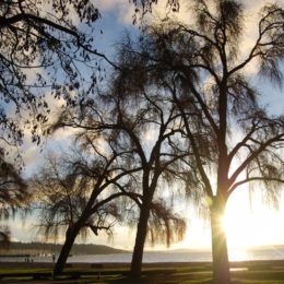 Golden Gardens Park | Photography by Jenny S.W. Lee