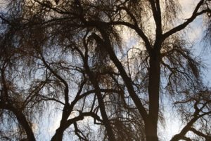Golden Gardens Park, Washington | Photography by Jenny SW Lee