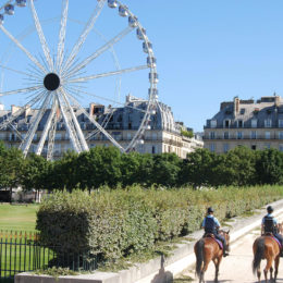 Tuileries Garden, Paris | Photography by Jenny S.W. Lee