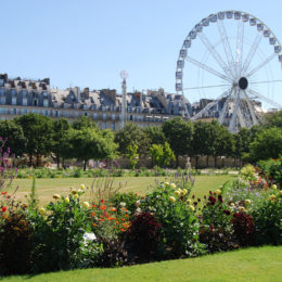 Tuileries Garden, Paris | Photography by Jenny S.W. Lee