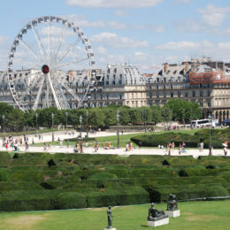 Tuileries Garden, Paris | Photography by Jenny S.W. Lee