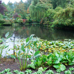 Butchart Garden in Brentwood Bay, British Columbia, Canada | Photography by Jenny S.W. Lee