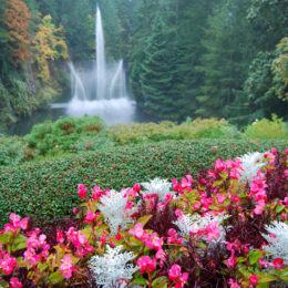 Butchart Garden in Brentwood Bay, British Columbia, Canada | Photography by Jenny S.W. Lee