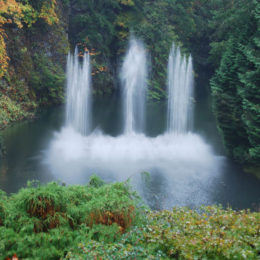 Butchart Garden in Brentwood Bay, British Columbia, Canada | Photography by Jenny S.W. Lee