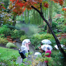 Butchart Garden in Brentwood Bay, British Columbia, Canada | Photography by Jenny S.W. Lee