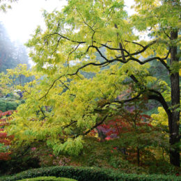 Butchart Garden in Brentwood Bay, British Columbia, Canada | Photography by Jenny S.W. Lee