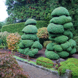 Butchart Garden in Brentwood Bay, British Columbia, Canada | Photography by Jenny S.W. Lee