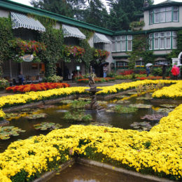 Butchart Garden in Brentwood Bay, British Columbia, Canada | Photography by Jenny S.W. Lee