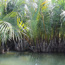 Thu Bon River