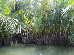 Thu Bon River, Hoi An, Vietnam | Photography by Jenny S.W. Lee