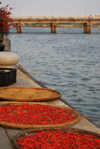 Hoi An, Vietnam | Photography by Jenny S.W. Lee