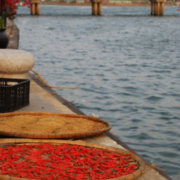 Hoi An, Vietnam | Photography by Jenny S.W. Lee