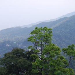 Ba Na Hills, Da Nang, Vietnam | Photography by Jenny S.W. Lee